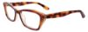 Picture of Paradox Eyeglasses P5021