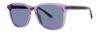 Picture of Penguin Sunglasses THE BROOKS SUN