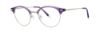 Picture of Penguin Eyeglasses THE GENE