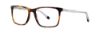 Picture of Penguin Eyeglasses THE STRATTON