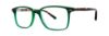 Picture of Penguin Eyeglasses THE LEOPOLD