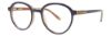 Picture of Penguin Eyeglasses THE SURPRISE