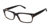 Picture of Perry Ellis Eyeglasses PE 461
