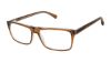 Picture of Perry Ellis Eyeglasses PE 462