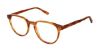 Picture of Perry Ellis Eyeglasses PE 470