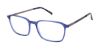 Picture of Perry Ellis Eyeglasses PE 484