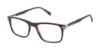 Picture of Perry Ellis Eyeglasses PE 488