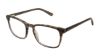 Picture of Perry Ellis Eyeglasses PE 443