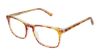 Picture of Perry Ellis Eyeglasses PE 443