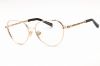 Picture of Philipp Plein Eyeglasses VPP035S