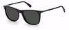 Picture of Polaroid Sunglasses PLD 2109/S