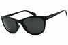 Picture of Polaroid Sunglasses 4099/S