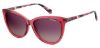 Picture of Polaroid Sunglasses PLD 6104/S/X
