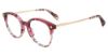 Picture of Police Eyeglasses VPLD25
