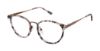 Picture of Rachel Rachel Roy Eyeglasses Splendid
