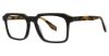 Picture of Randy Jackson Eyeglasses Collection 3074