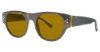 Picture of Randy Jackson Sunglasses S928p