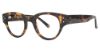 Picture of Randy Jackson Eyeglasses X123