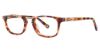 Picture of Randy Jackson Eyeglasses X120