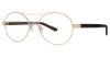 Picture of Randy Jackson Eyeglasses X119