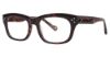 Picture of Randy Jackson Eyeglasses X118