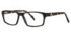 Picture of Randy Jackson Eyeglasses 3039