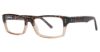 Picture of Randy Jackson Eyeglasses 3017