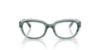 Picture of Ray Ban Jr Eyeglasses RY1636
