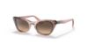 Picture of Ray Ban Jr Sunglasses RJ9099S