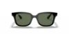 Picture of Ray Ban Jr Sunglasses RJ9071S