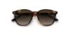Picture of Ray Ban Jr Sunglasses RJ9070S
