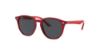 Picture of Ray Ban Jr Sunglasses RJ9070S