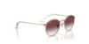 Picture of Ray Ban Jr Sunglasses RJ9547S