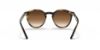 Picture of Ray Ban Jr Sunglasses RJ9064S