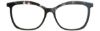 Picture of Revolution Eyeglasses BLAKELY w/Clip