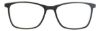 Picture of Revolution Eyeglasses POMONA w/Clip