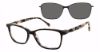 Picture of Revolution Eyeglasses ADA W CLIP