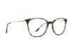 Picture of Rip Curl Eyeglasses RIP CURL-RC2079