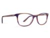 Picture of Rip Curl Eyeglasses RIP CURL-RC2077