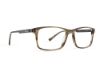 Picture of Rip Curl Eyeglasses RIP CURL-RC 2056