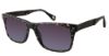 Picture of Robert Graham Sunglasses BRECK