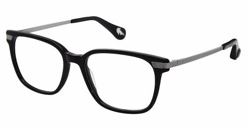 Picture of Robert Graham Eyeglasses ROARK