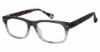 Picture of Robert Graham Eyeglasses PEDRO