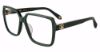 Picture of Roberto Cavalli Eyeglasses VRC050M