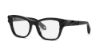 Picture of Roberto Cavalli Eyeglasses VRC025V