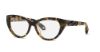 Picture of Roberto Cavalli Eyeglasses VRC024M