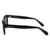 Picture of Salvatore Ferragamo Sunglasses SF2040SE
