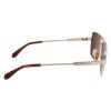 Picture of Salvatore Ferragamo Sunglasses SF318SP