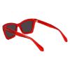 Picture of Salvatore Ferragamo Sunglasses SF2039SE