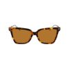 Picture of Salvatore Ferragamo Sunglasses SF2036S